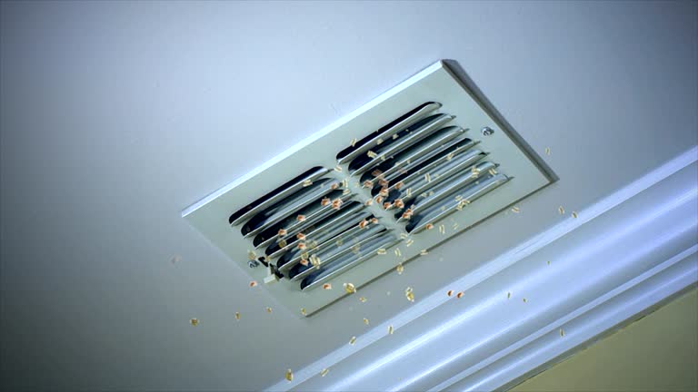 Best HVAC System Cleaning  in Sulphur, LA