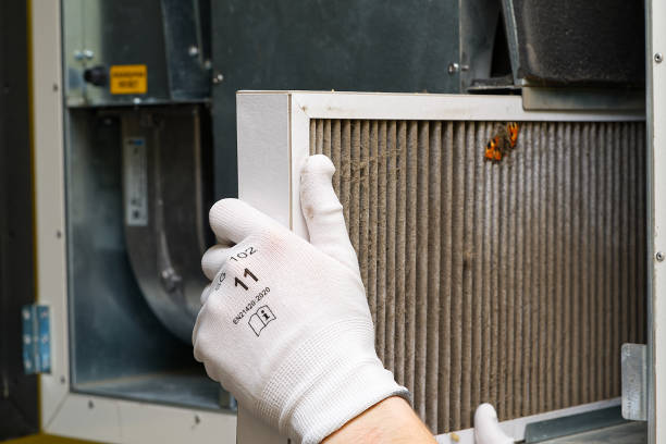 Best Professional Duct Cleaning Services  in Sulphur, LA